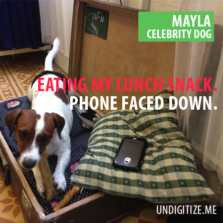 Eating My Lunch Snack. Phone Faced Down.