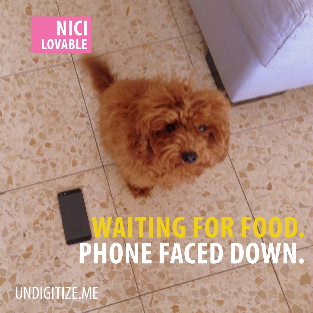 Waiting For Food. Phone Faced Down.