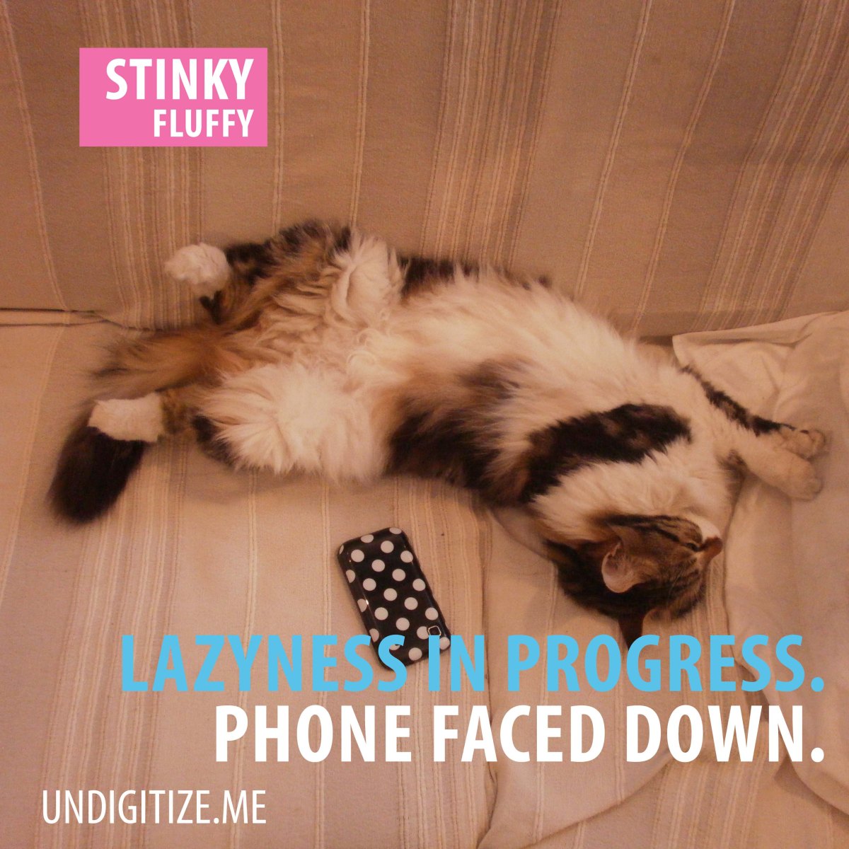 Laziness In Progress. Phone Faced Down.